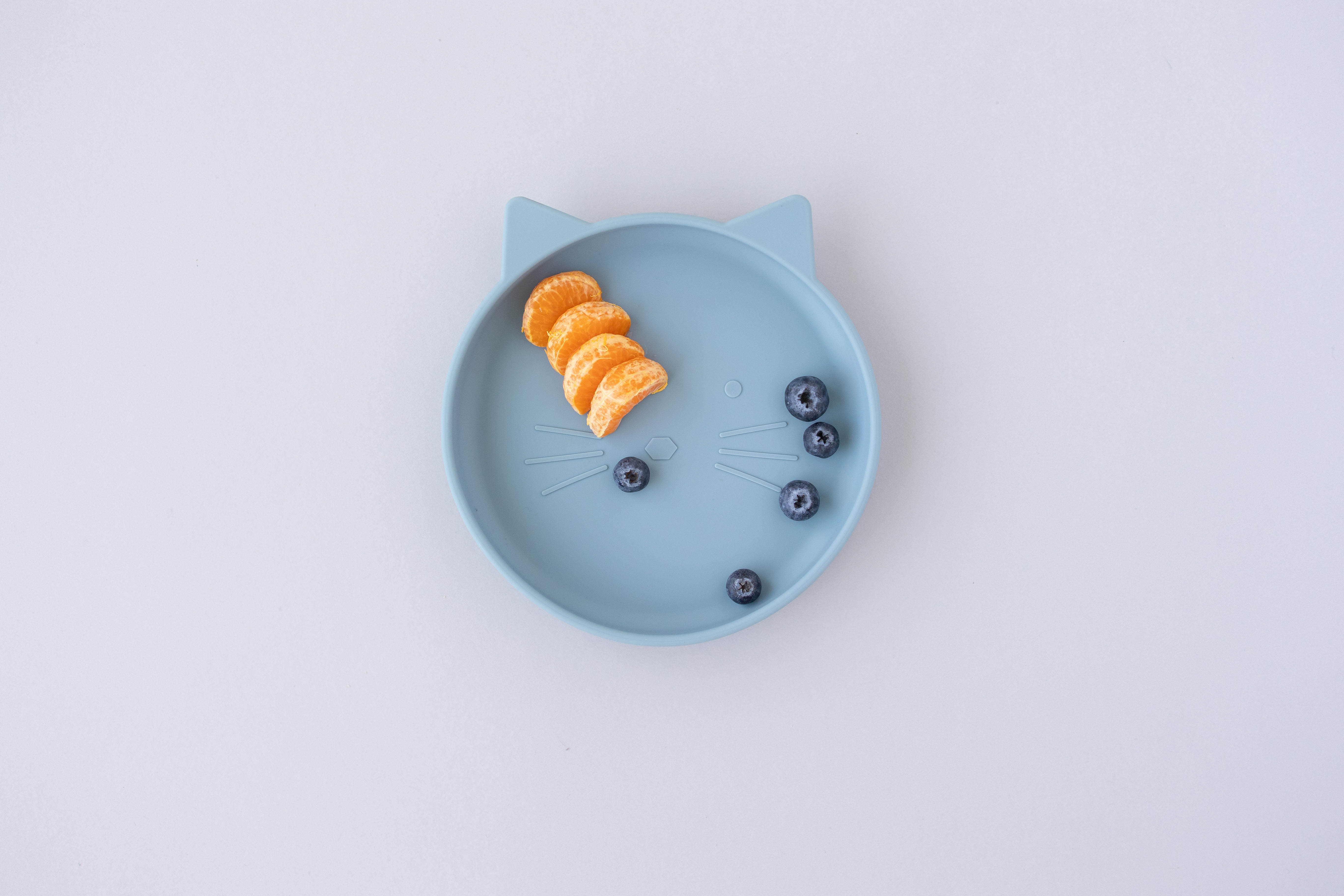 Toddler Plate with Suction - Blue